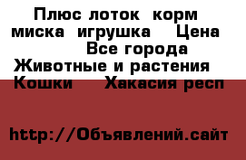 Плюс лоток, корм, миска, игрушка. › Цена ­ 50 - Все города Животные и растения » Кошки   . Хакасия респ.